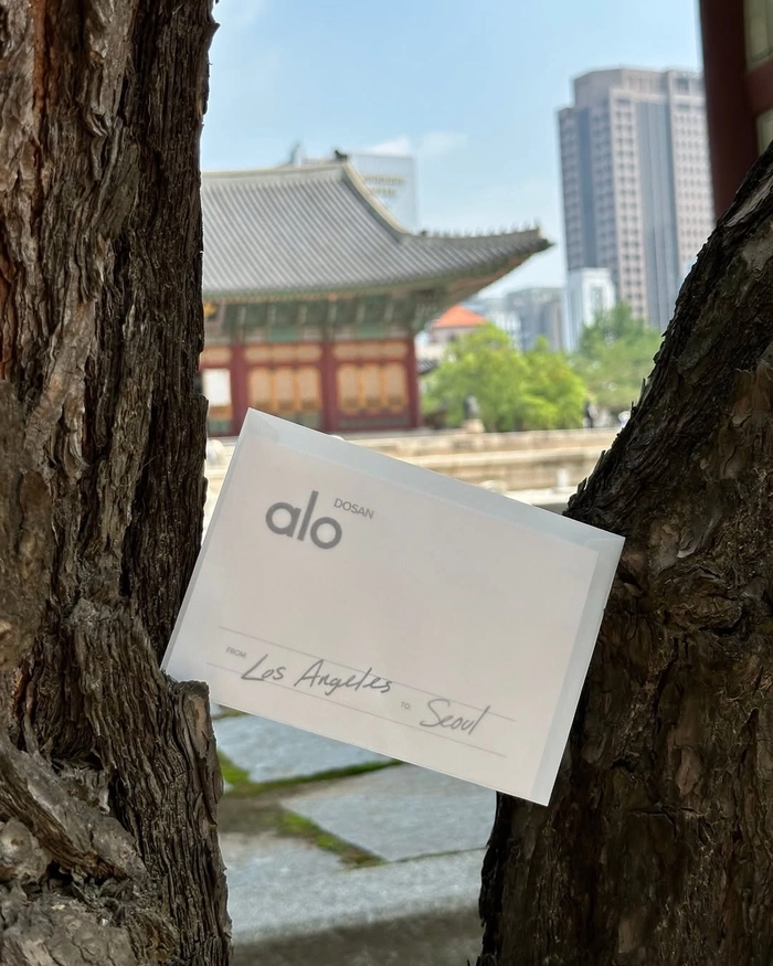 서울 도산공원에 상륙한 알로의 첫 플래그십 스토어