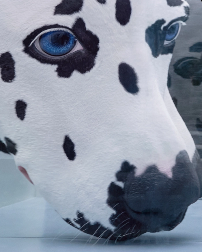 아더에러, 상하이에 두 번째 글로벌 플래그십 스토어 오픈