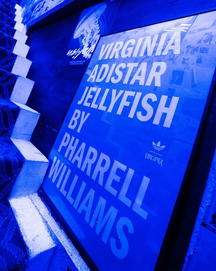 아디다스 x 퍼렐 윌리엄스 젤리피시 팝업 개최