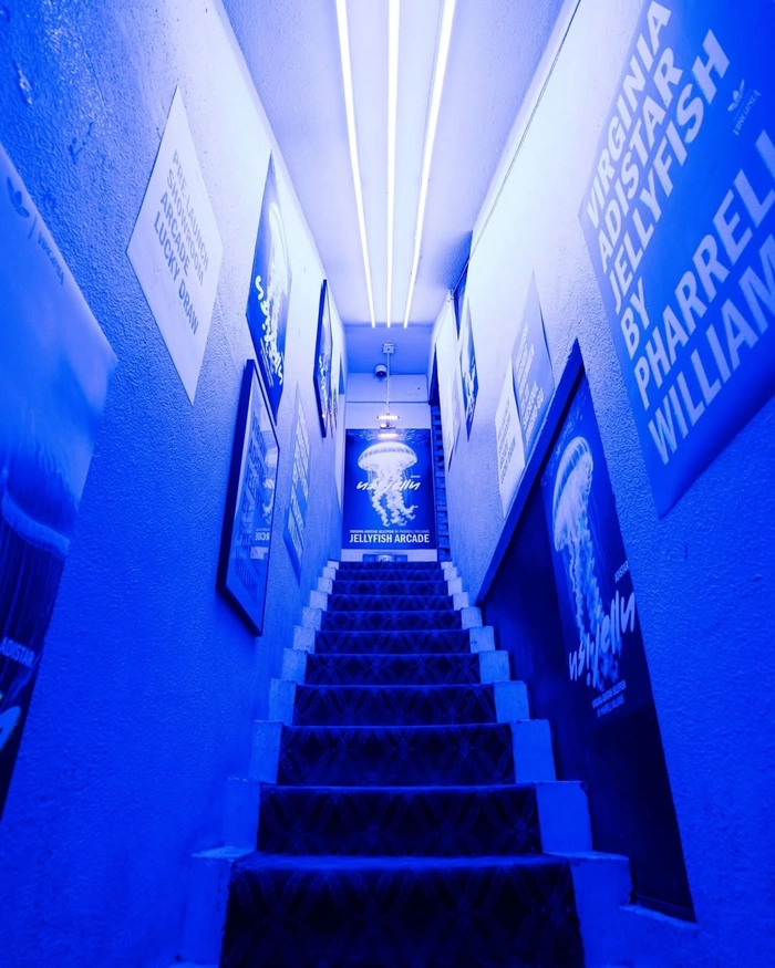 아디다스 x 퍼렐 윌리엄스 젤리피시 팝업 개최