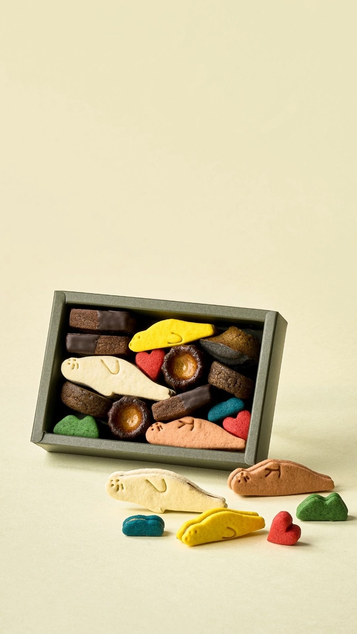 파티세리 아모니와 웜그레이테일 협업 쿠키 세트