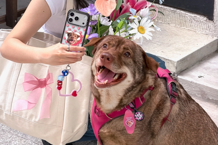 케이스티파이 반려동물의 날 맞이 펫 컬렉션 출시