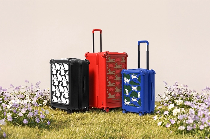 케이스티파이 키티버니포니 트래블 컬렉션 출시