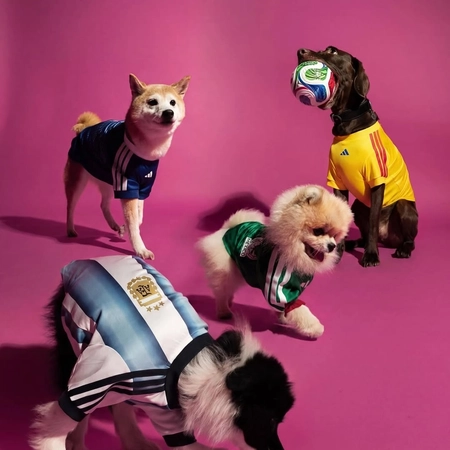 아디다스 2026 월드컵 반려동물 저지 출시