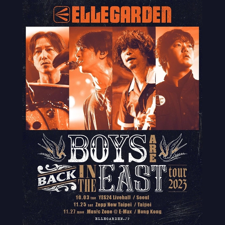 [콘서트] 엘르가든 내한공연 ELLEGARDEN