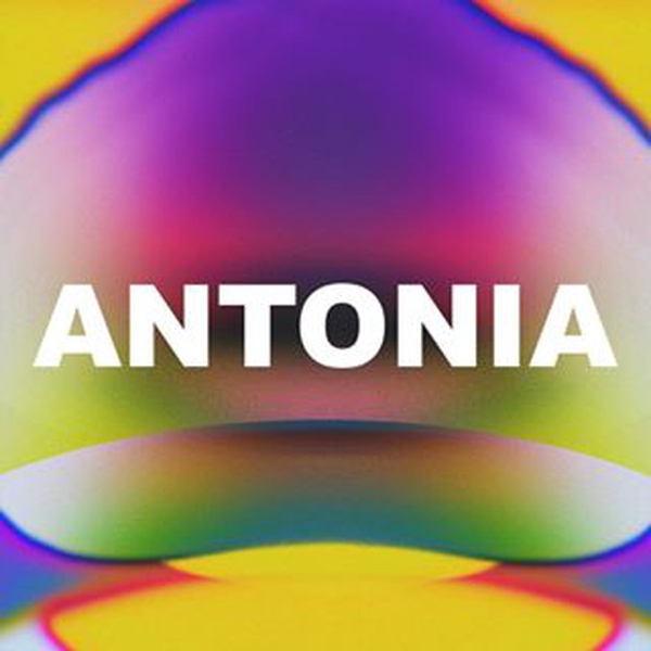 ANTONIA 드로우 응모 방법