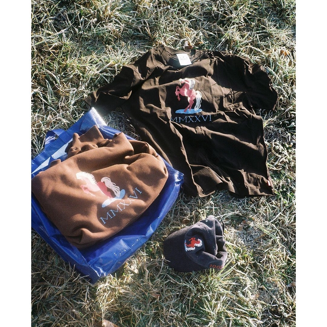 아이앱스튜디오 2026 붉은말 미니캡슐