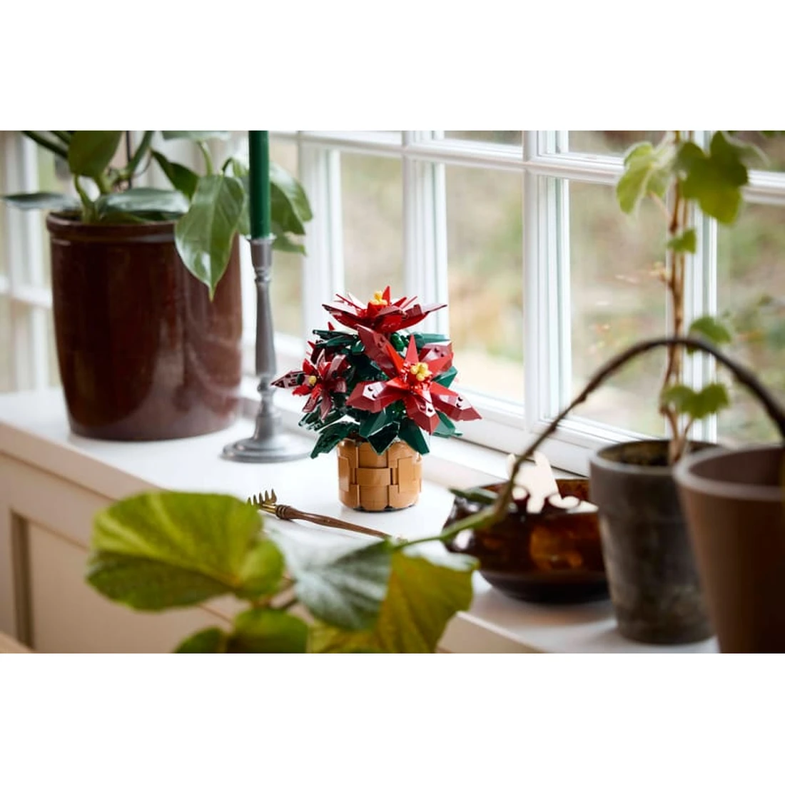 레고 포인세티아 10370