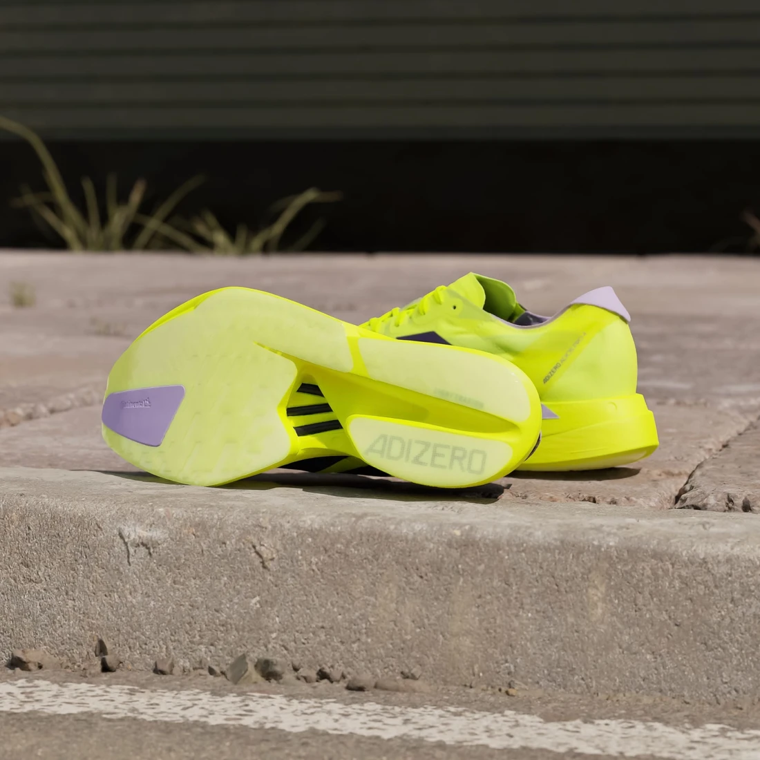 아디다스 아디제로 아디오스 프로 4 솔라 옐로우 오로라 플럼 JP6623