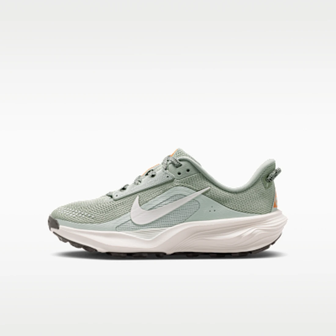 나이키 ACG 페가수스 트레일 주니어 러닝화 IH2305-301