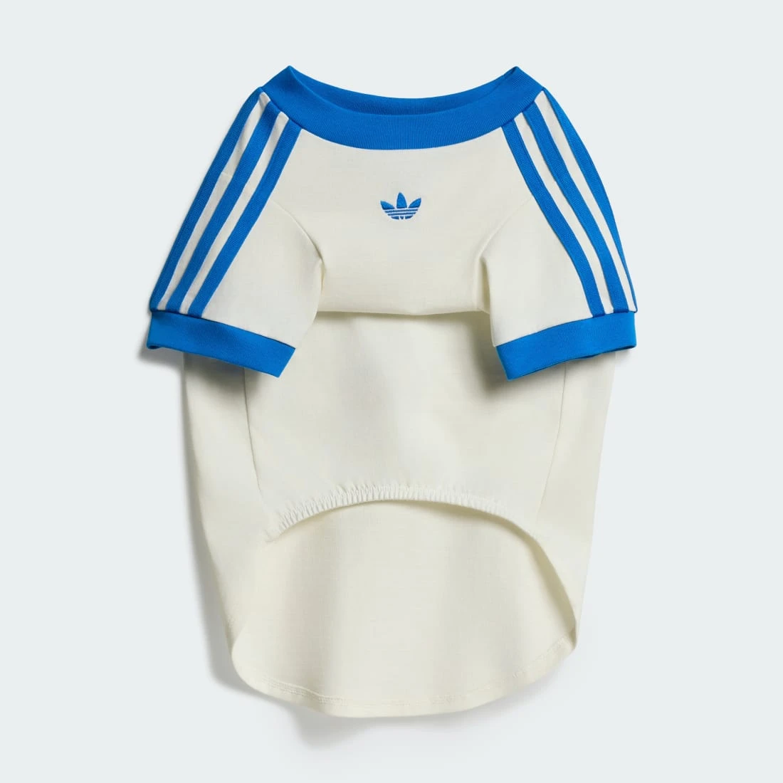 아디다스 펫 캘리 티셔츠 오프 화이트 블루 버드 KY8732