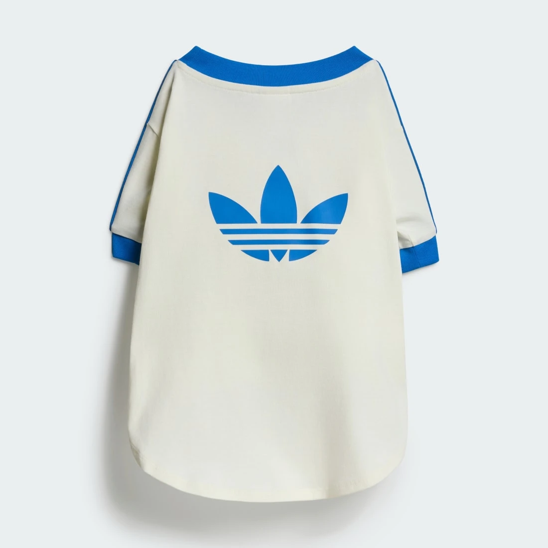 아디다스 펫 캘리 티셔츠 오프 화이트 블루 버드 KY8732