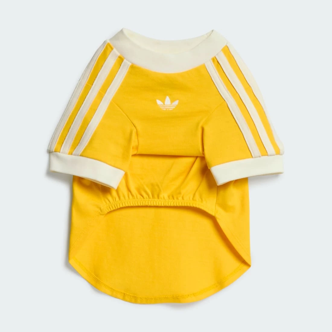 아디다스 펫 캘리 티셔츠 볼드 골드 오프 화이트 KY8731