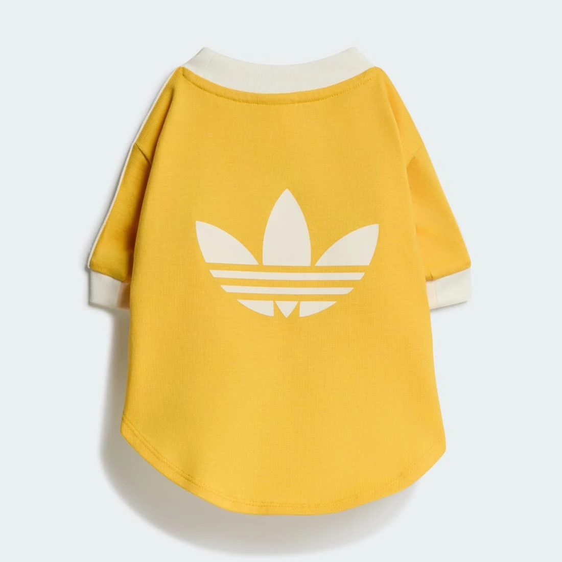 아디다스 펫 캘리 티셔츠 볼드 골드 오프 화이트 KY8731