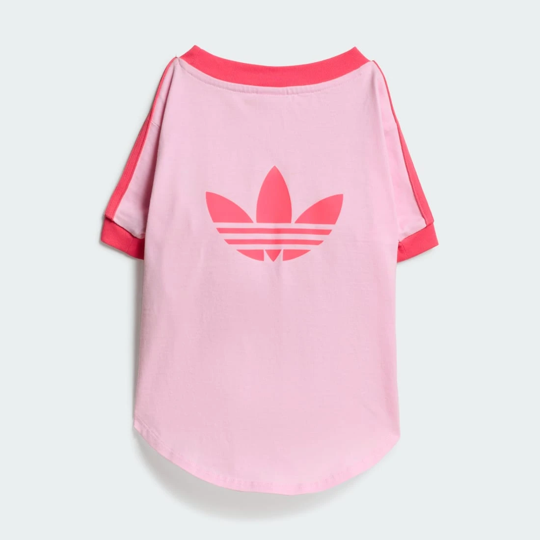 아디다스 펫 캘리 티셔츠 클리어 핑크 리얼 핑크 KY8729