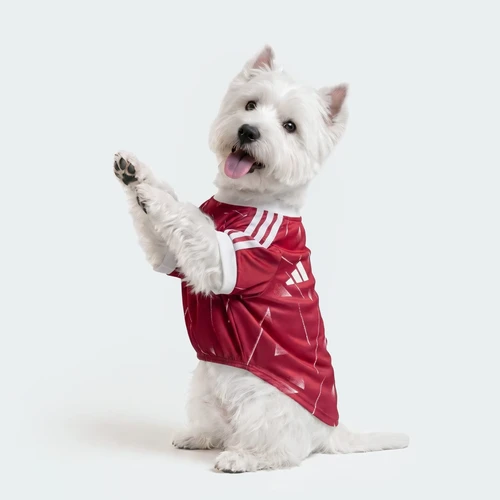 아디다스 리버풀 FC 펫 저지 액티브 마룬