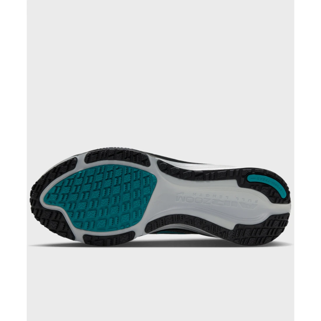 나이키 페가수스 42 GORE-TEX M 라이트 스모크 그레이 스모키 블루 블랙 브라이트 스프루스 IQ0455-001 이미지 3