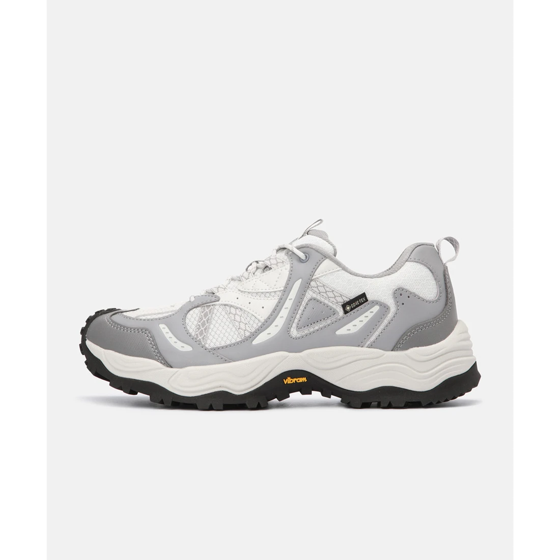 하이킹 슈즈 호크 라이즈 GTX FE4KX26310GRY
